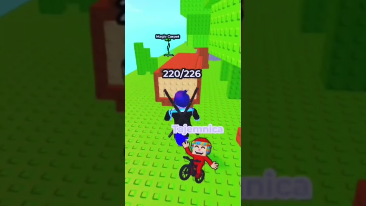 Cicletaria bycicleteria w find the braunroot