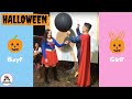 Best of 2018 Halloween Gender Reveals ideas