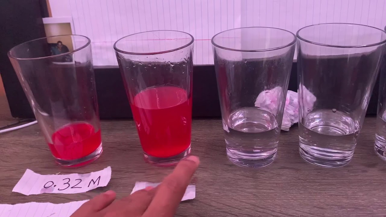 Lab 3 Wavelength And standard Curve Lab Zaher Abdo YouTube