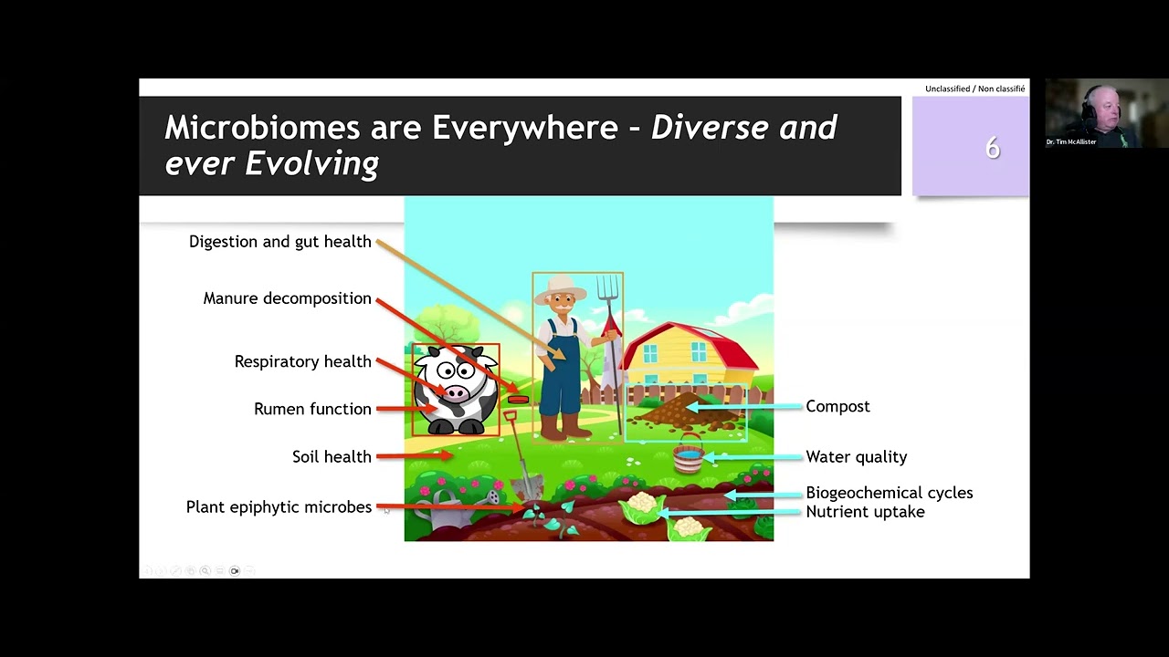 Bugs, Burbs and Carbon?