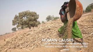 Causes of Desertification