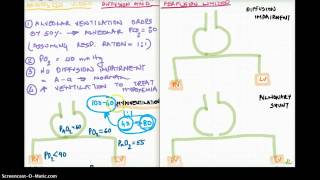 Diffusion and Perfusion Limited Graph Part 2