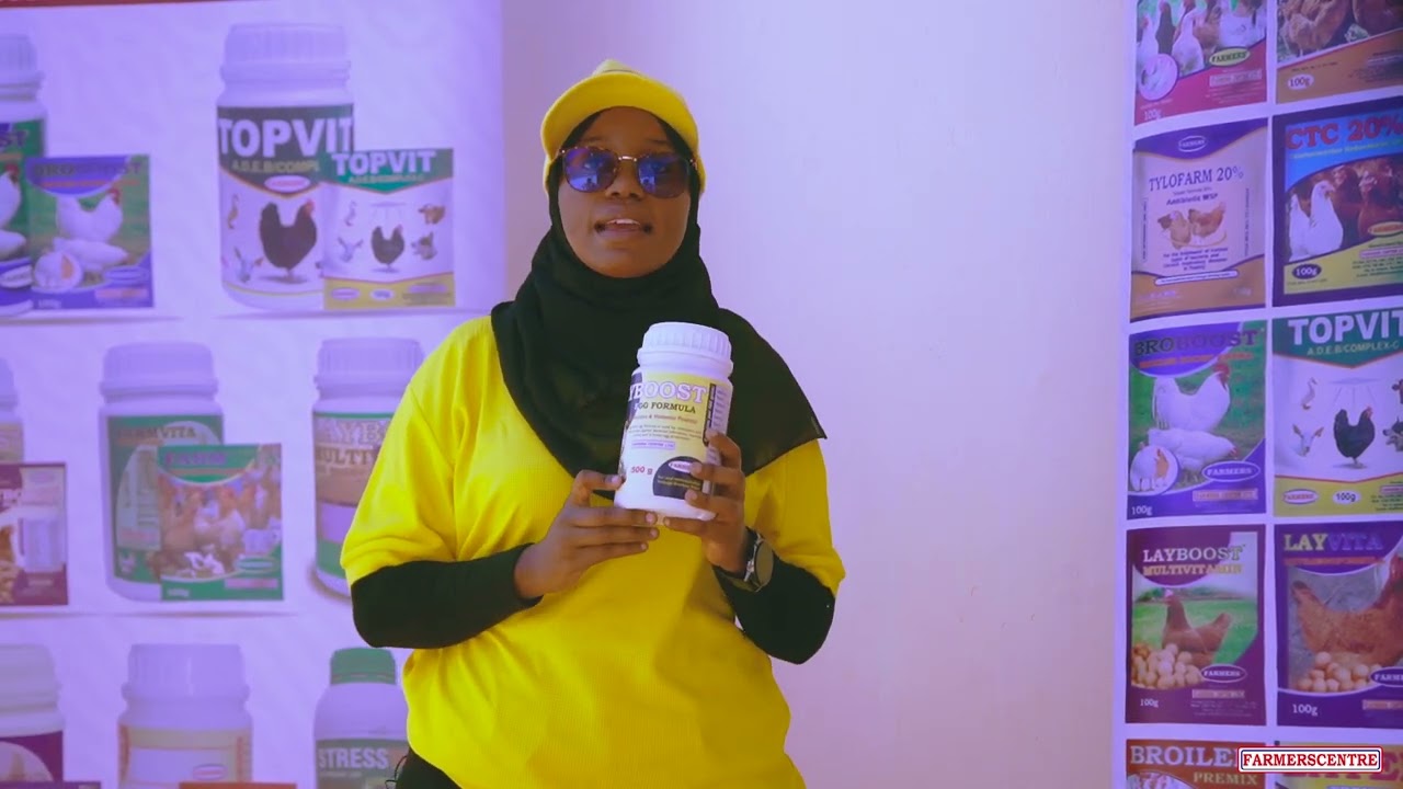 MATUMIZI SAHIHI YA VITAMIN KWA KUKU HASA WA MAYAI