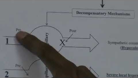 CVS Revision  Course of Shock + Refractory Shock Dr Mohamed Fayez