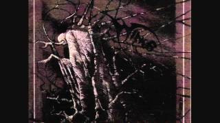 Wings - Under Autumn Trees