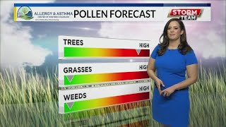 Pollen Forecast