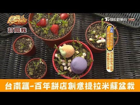 【台南】百年餅店創意提拉米蘇盆栽！甘本堂蛋糕烘焙坊 食尚玩家
