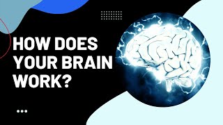 Full Brain based learning( How Brain Works) News