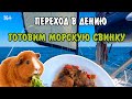 Готовим морскую свинку в переходе из Хавии в Дению // Первый раз в тортовом центре // 16+