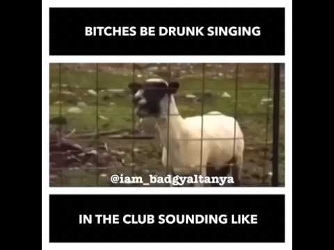 beyonce-drunk-in-love-goat-meme