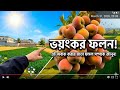 The Peach Revolution