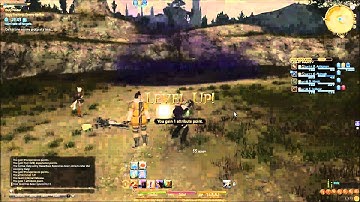 FFXIV - Guildhest - "Basic Training: Enemy Parties"