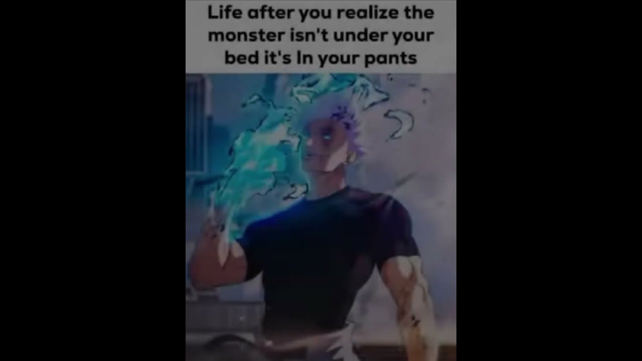 Meme I Stole 10 Shorts