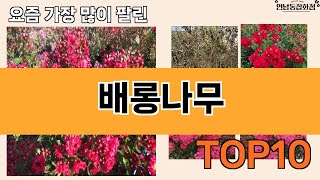 가장 많이 팔린 배롱나무 추천 Top10!