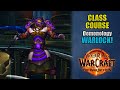 Class Course: A Demonology Warlock Rotation Guide for Beginners! | The War Within 11.1.5