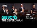 Gibbons - The Silver Swan | Marcus Creed | SWR Vokalensemble