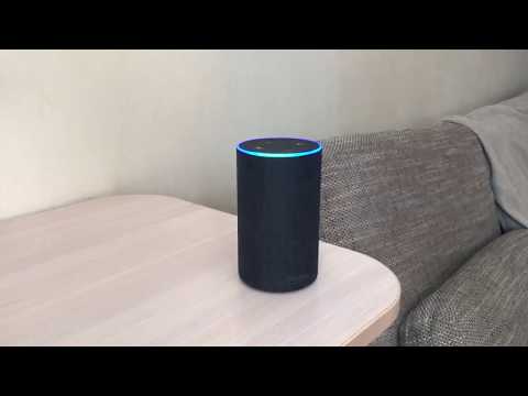 Vídeo: Jelly Deals: Amazon Presenta Seis Nuevos Dispositivos Habilitados Para Alexa