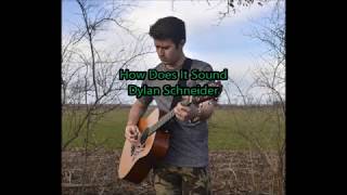 Video thumbnail of "Dylan Schneider - How Does It Sound lyrics/letra"