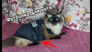 ФУТБОЛКА ДЛЯ КОТА🙀 | Распаковка | 📦РАСПАКОВКИ С МАРУСЕЙ #4📦