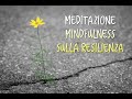 Meditazione sulla Resilienza