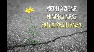 Meditazione sulla Resilienza