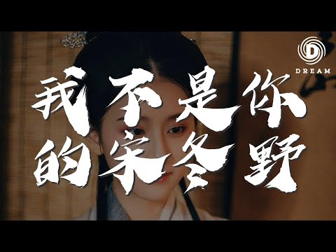 林啟得 - 我不是你的宋冬野『我的莉莉安和董小姐』【動態歌詞Lyrics】