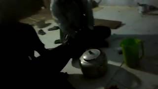 NABASA TRIO KECEWA HIAN COVER PARKULI BANGUNAN