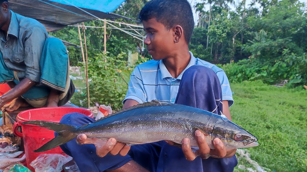 Fresh Big Fish Cutting Video | Professional Hands with Smooth and Satisfying Knife Cuts