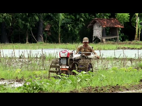 Traktor Sawah Quick