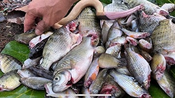 Câu cá # 89[ 24H Sinh Tồn Khép Lại – Thành Quả Là Món Cá Hun Khói Siêu Ngon! ]