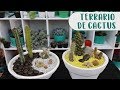 Cómo hacer un terrario con cactus│Candy Bu