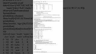 cbse class 12 data frame worksheet with answers informatics practices screenshot 3