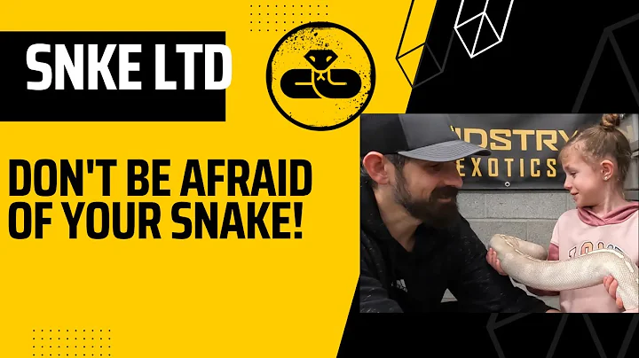 Terrified of Snakes? Watch this Before You Pick Up Your Ball Python!