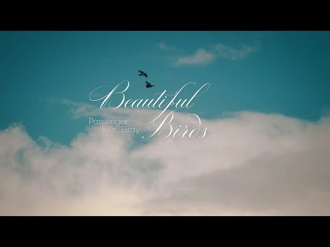 Lyrics - Vietsub || Passenger feat. Birdy - Beautiful Birds