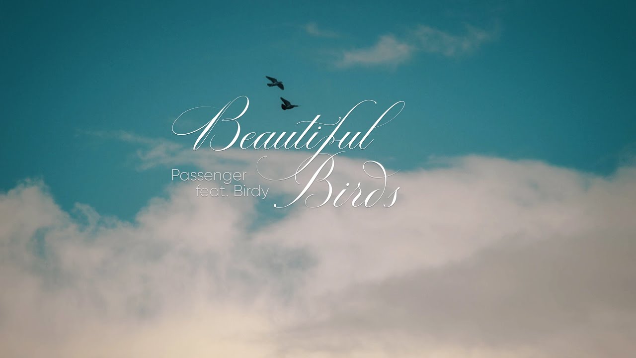 Lyrics Vietsub Passenger feat. Birdy Beautiful Birds YouTube