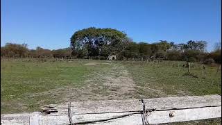 ALQUILER O VENTA DE CAMPO GANADERO EN PUEBLO SANTA LUCIA, VERA SANTA FE, ARGENTINA @andrespauer
