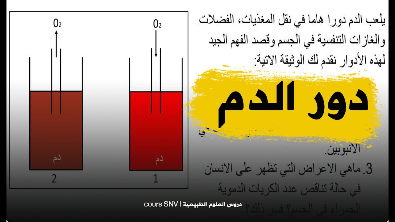 تمرين شامل تتعلم منه دور الدم في نقل الغازات التنفسية للرابعة متوسط علوم طبيعية