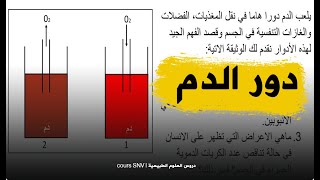 تمرين شامل تتعلم منه دور الدم في نقل الغازات التنفسية للرابعة متوسط علوم طبيعية