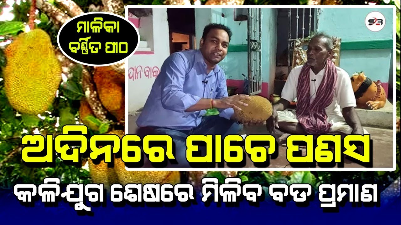 Malika Place | Malika Future Prediction |  Champabali Matha | Satya Bhanja