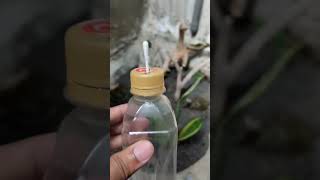 Tetesan Kehidupan Tumbuhan