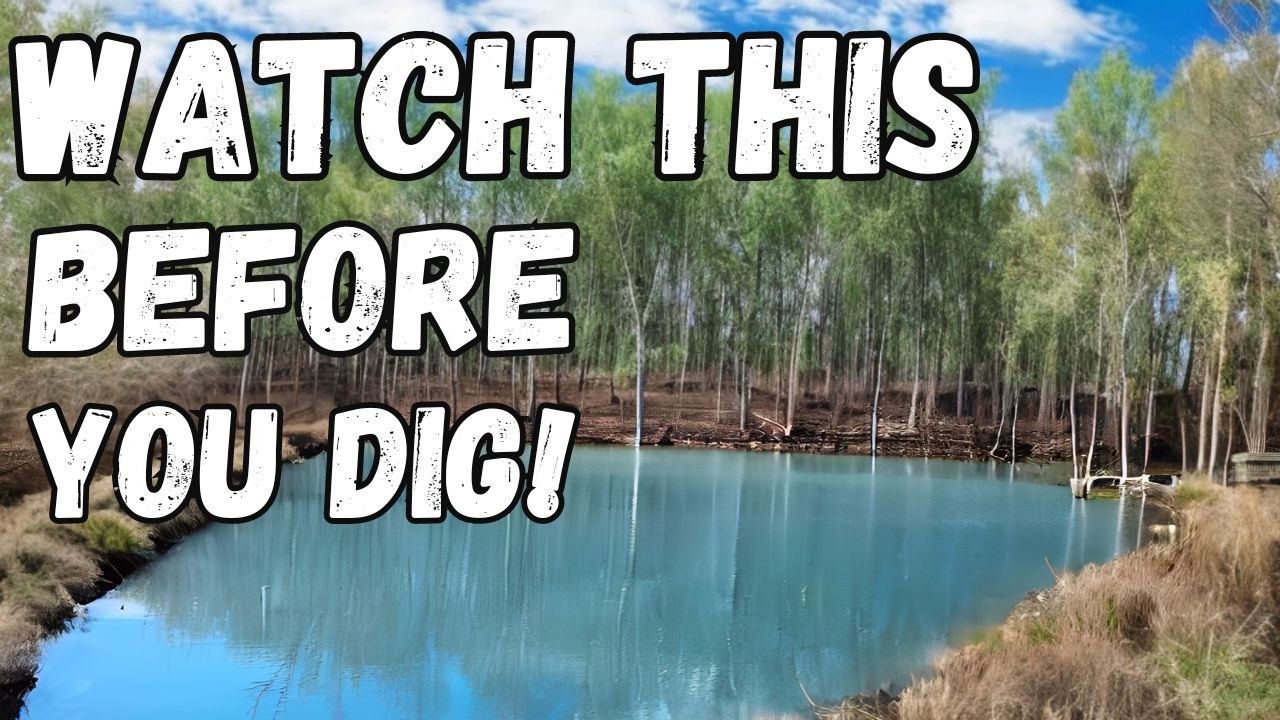 Что нужно знать перед тем, как вырыть пруд на ферме