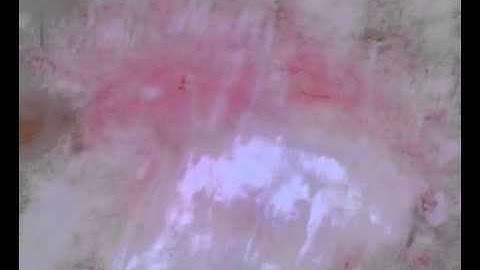 Angular Dependence of Polarized Light