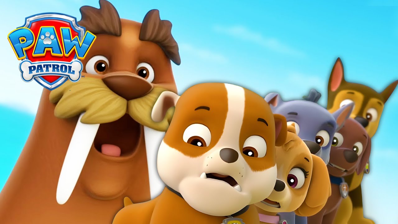 小狗们遇见了海象沃利！🦭 - PAW Patrol 汪汪隊立大功 - 兒童卡通