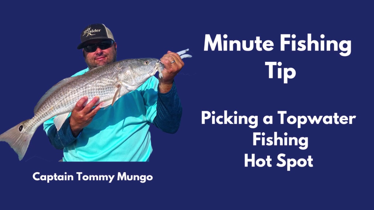 1 Minute Fishing Tip..Picking a Great Topwater Fishing Spot