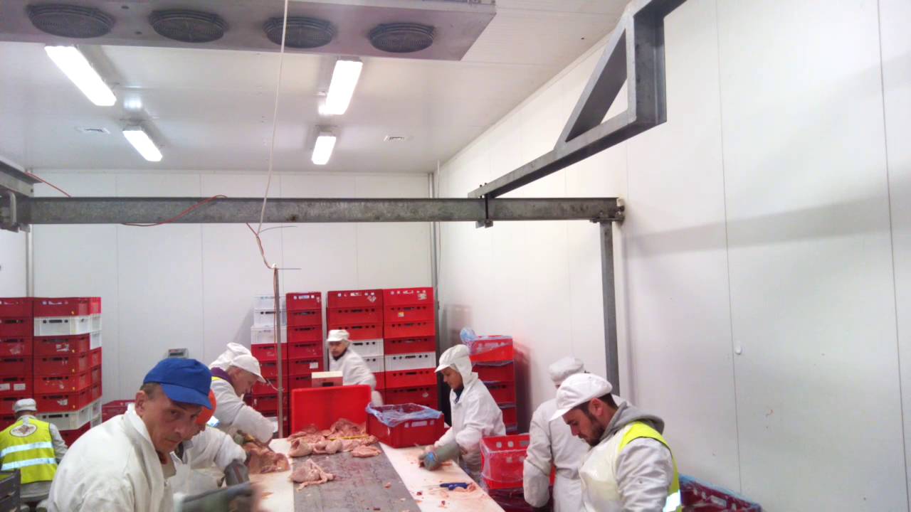 обвальщик курицы на производстве