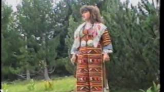 Bobi (busha) -Breznica.avi