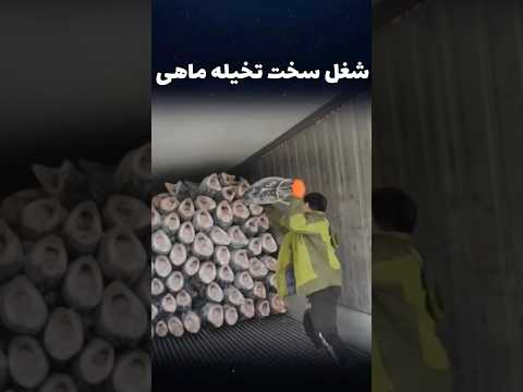 این شغل واقعا سخته
