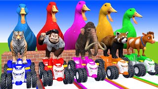 5 Giant Duck, Monkey, Piglet, chicken, elephant, tiger, Sheep, Transfiguration funny animal 2023