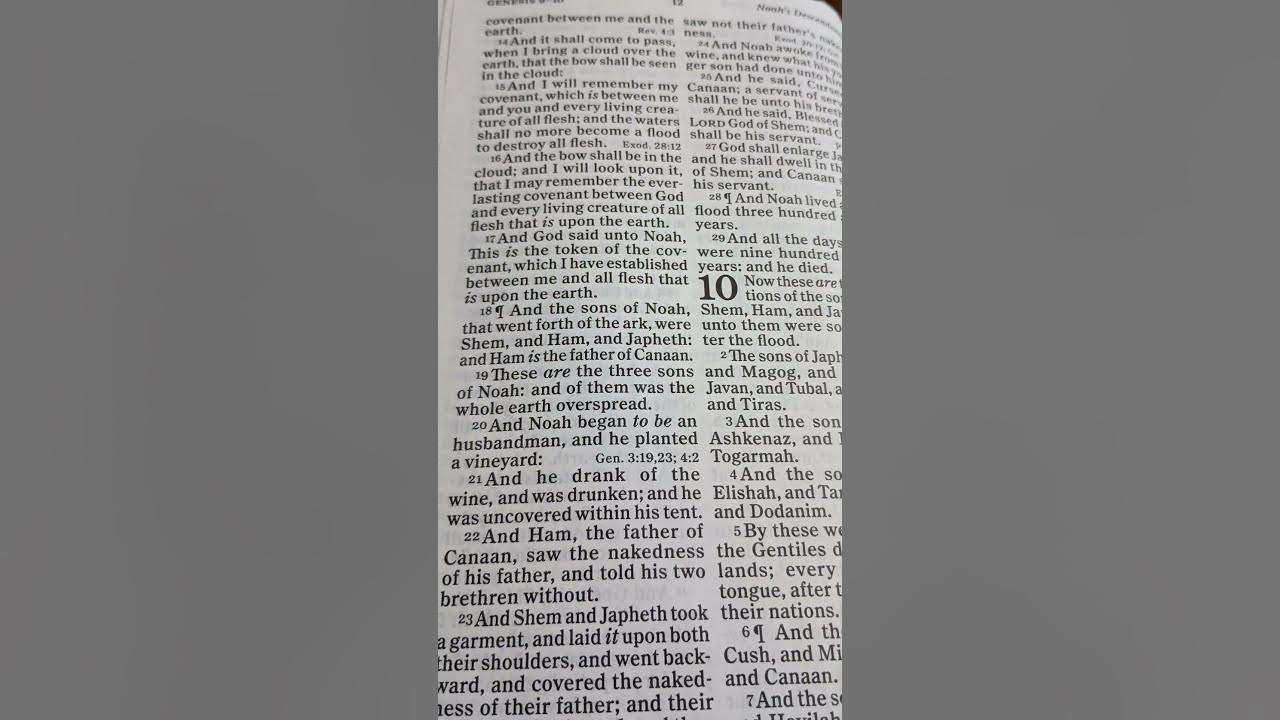 genesis-chapter-9-verse-18-21-bible-bibleverses-biblereadings-youtube