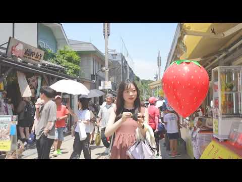 かまくら食べ歩きの旅